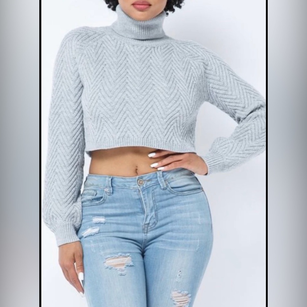 Hera Collection Chevron Turtleneck Sweater Heather Grey Crop Long Sleeve Small